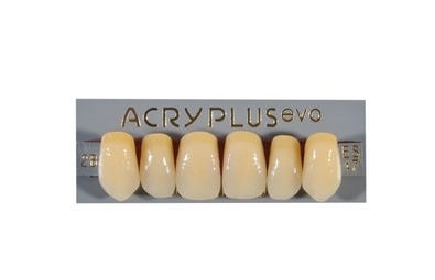 Зубы акриловые, Acry Plus V (Evo), четырехслойные, фронт, верх, 6 шт. (Италия, Ruthinium)